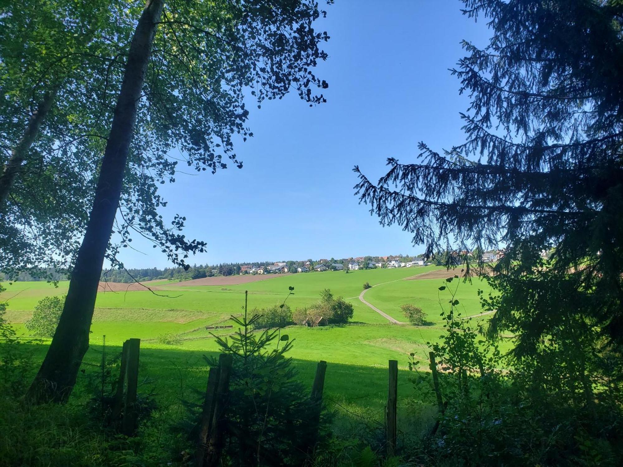 Hotel Alter Hirsch Pfalzgrafenweiler Exteriér fotografie
