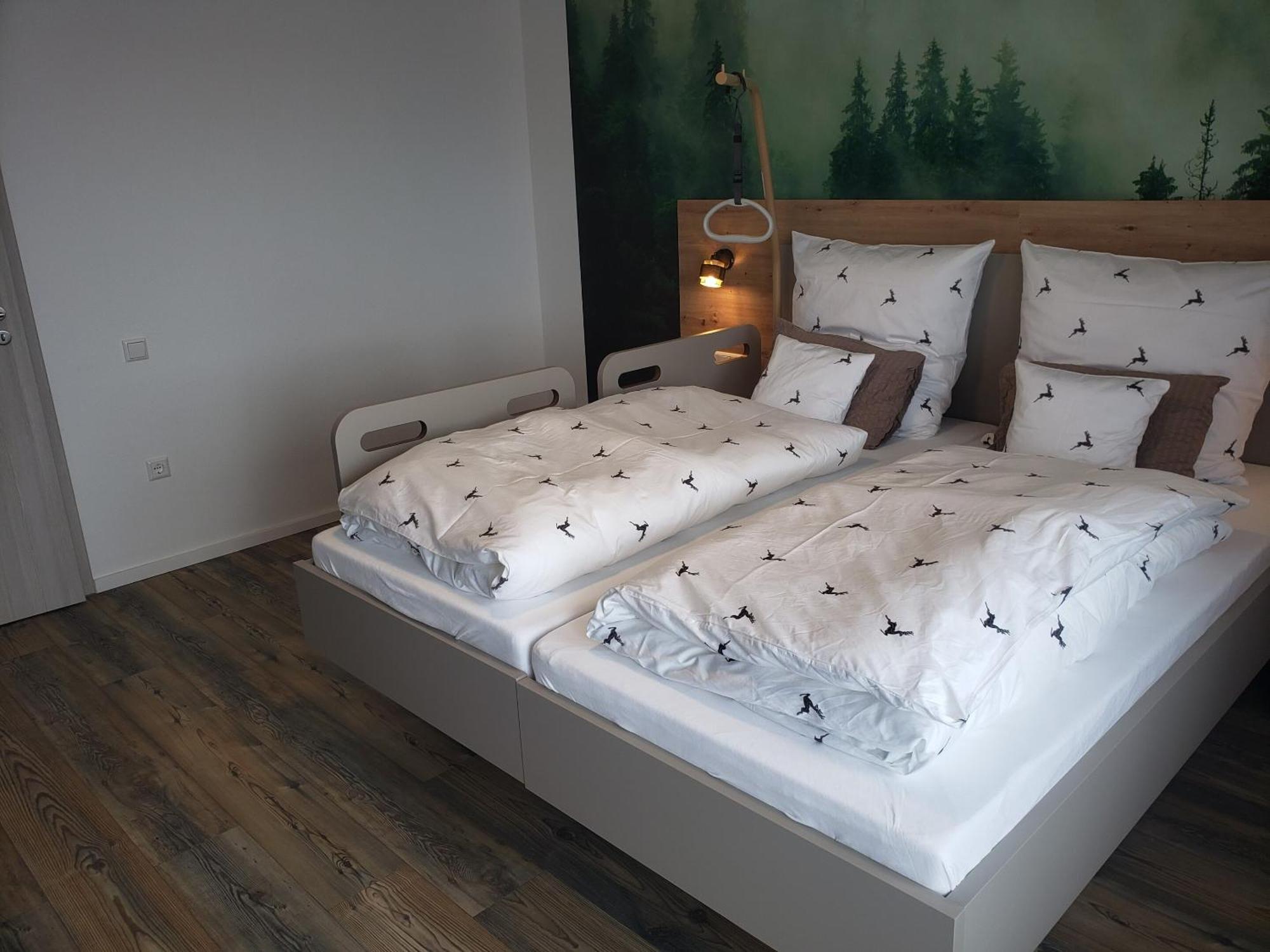 Hotel Alter Hirsch Pfalzgrafenweiler Pokoj fotografie