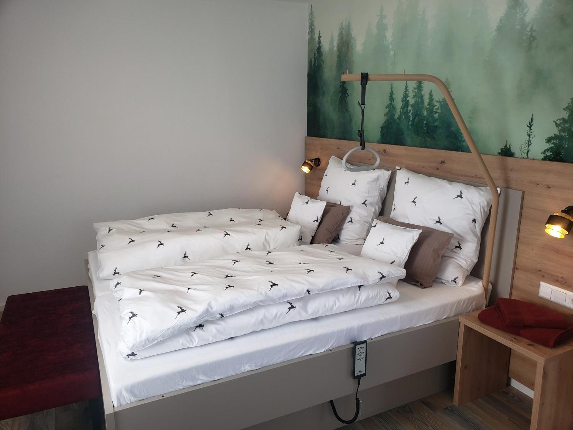Hotel Alter Hirsch Pfalzgrafenweiler Pokoj fotografie